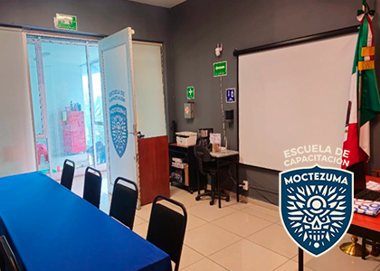 Estudiante en línea